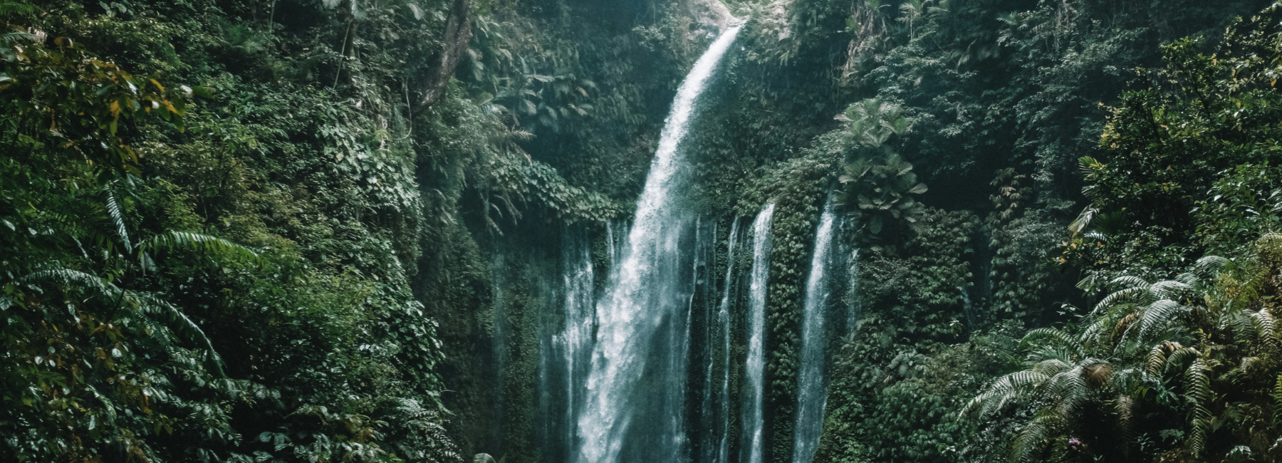 Environment